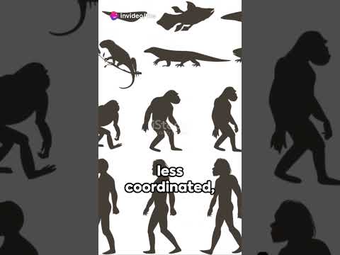 Is evolution and survival of the fittest the same thing?