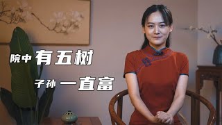 “院中有五树，子孙一直富”，说的是哪几种树，你家院子里有吗？