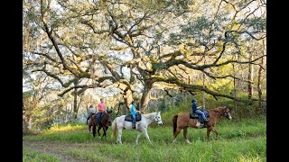 Your Vacation Starts Here in Ocala/Marion County