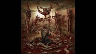 Anorgasm - Penetrasi Senggama (HQ) 2016