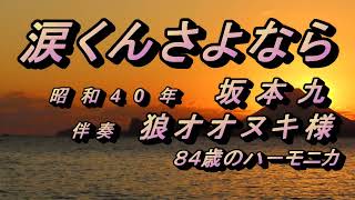 涙くんさよなら⋆ハ－モニカ（鹿児島錦江町～開聞岳の夕日）