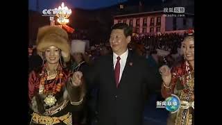 习近平出席庆祝西藏和平解放60周年焰火晚会