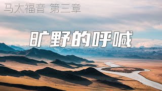 一起读圣经170 - 旷野的呼喊 -马太福音 第三章