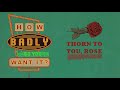 louis and the shakes thorn to you rose official audio