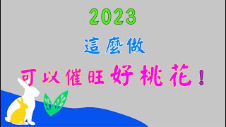 #2023這麼做可以催旺好桃花!#2023癸卯兔年#流年九宮飛星桃花佈局