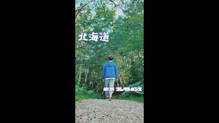 絶景コレクションズ【北海道】#shorts