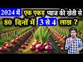 1 एकड़ में प्याज की खेती: लागत, उत्पादन और मुनाफे की पूरी जानकारी | Pyaj Ki Kheti | Onion Farming