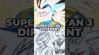 Why is Vegeta's Super Saiyan 3 so different from Goku's?!