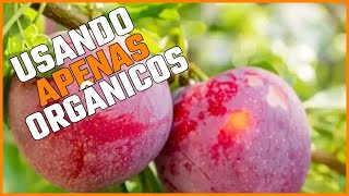 Como Fazer Sua Planta Florir e Estourar Usando Apenas Produtos Orgânicos!