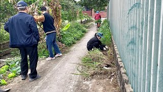 Everyone was very happy to see us rescuing the road that was covered with grass!