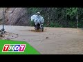 Biển Đông khả năng đón 1-2 cơn bão và áp thấp trong một tháng tới | THDT