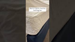 How to check a bed for bed bugs