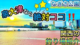 【なぎさ公園】泉大津のファミリー向けスポット！安心安全な設備あり〜関西のおすすめ釣り場紹介〜