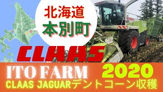 【自走式】CLAAS JAGUARクラースジャガー自走式ハーベスター2020年デントコーン収穫作業　北海道十勝管内