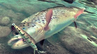 What to catch trout in the Carpathians. Fishing on a mountain river