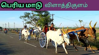 பெரியமாடு விளாத்திகுளம்  15-04-2022