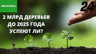 Озеленять Казахстан без показухи и очковтирательства | Экологика