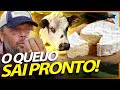 NORMANDA, A VACA QUE FAZ O MELHOR QUEIJO DO MUNDO! | RICHARD RASMUSSEN