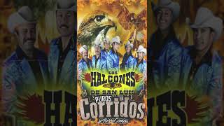 Los Halcones De San Luis ( shorts ) #videoshorts🎼