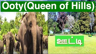 Top 10 attractions in Ooty(ஊட்டியில் பார்க்க வேண்டிய 10 இடங்கள்)