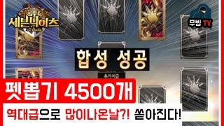 세븐나이츠 펫뽑기 4500개 역대급으로 5성합성이 잘된날이라고? 과연 무엇이..?