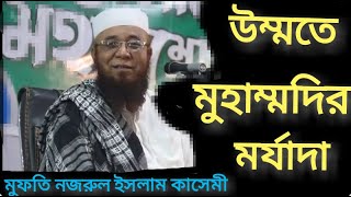 উম্মতে মুহাম্মদির মর্যাদা _-_আলোচনা মুফতি নজরুল ইসলাম কাসেমী