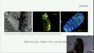 כנס עיצוב תעשייתי בעולם משתנה. ביו-דיזיין. נועם אטיאס