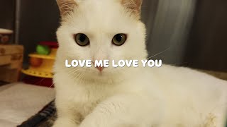 [카라 더봄센터] LOVE ME LOVE YOU (MV. 동물친구들ver)