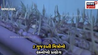 Ahmedabad New | ગુજરાતમાં ઉગાડ્યું કાશ્મીરી કેસર | Cultivation of saffron | Kashmir | N18V