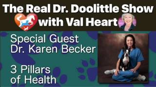3 Pillars of Health with Dr Karen Becker, Mercola’s Healthy Pet Vet