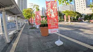 【4K HD】A walk in front of Hakodate Station（函館駅前散歩）