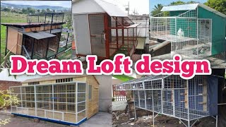 Pigeon Loft design ( DreamLoft )