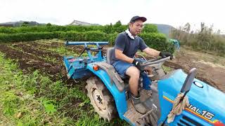 とうもろこし🌽畑をモアとトラクター🚜で耕運する‼️イセキ　トラクターsial15