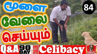 நம் மூளை நமக்காக வேலை செய்யும்  | day 84| Nofap Tamil 90 days challenge| Celibacy Tamil meditation