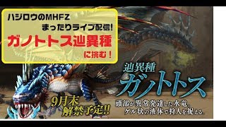 【MHF-Z】ハジロウのまったりライブ配信（9/24)えっ！おためし配信？ガノトトス辿異種に挑む！