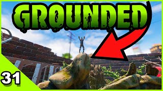 I Found Something AMAZING Up Here!! - Grounded - Episode 31