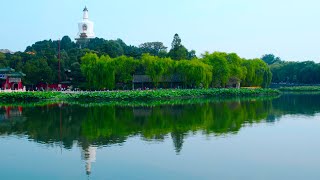 Summer in Beijing Series | Episode 5: Beihai Park