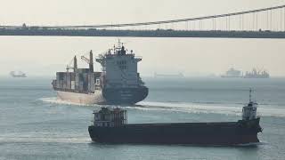 Container Ship《GSL MAREN》》Crossing Tsing Ma Bridge 20250111