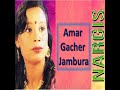 amar gacher jambura