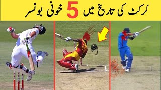 Top 5 Most Dangerous Bouncers In Cricket History🥵 |Deadly Bouncer in Cricket