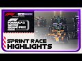 Sprint Race Highlights | Formula 1 Qatar Grand Prix 2023