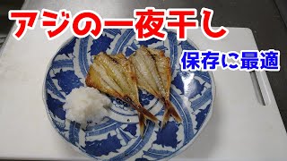 川崎新堤のアジで一夜干しをつくる　Making dried overnight with horse mackerel caught in Kawasaki