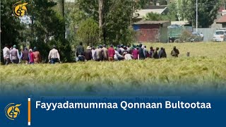 Fayyadamummaa Qonnaan Bultootaa