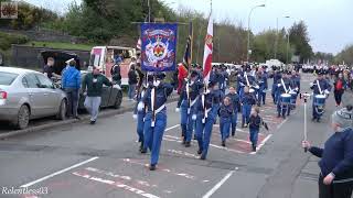 Ballygowan True Blues @ Crossgar Young Defenders Parade ~ 12/04/24 (4K)