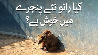 Karachi chiriya ghar ki mada reech naye pinjray main kis hal mian hai ? | SAMAA ORIGNAL