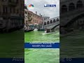 venice s famed grand canal waters turn fluorescent green digital cnbc tv18