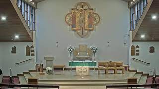 11am StA Sunday Mass 26.1.2025