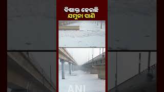 ଆକାଶମାର୍ଗରୁ ଦେଖନ୍ତୁ ଦିନକୁ ଦିନ ଯମୁନା ନଦୀରେ କେମିତି ଭାସୁଛି ବିଷାକ୍ତ ଫେଣ || KNews Odisha