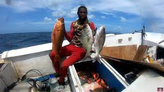 Antigua Spearfishing - Big Snapper (Tank Dive)(17,0ct ,2021)