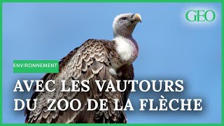 Parc zoologique : comment les soigneurs travaillent auprès des rapaces